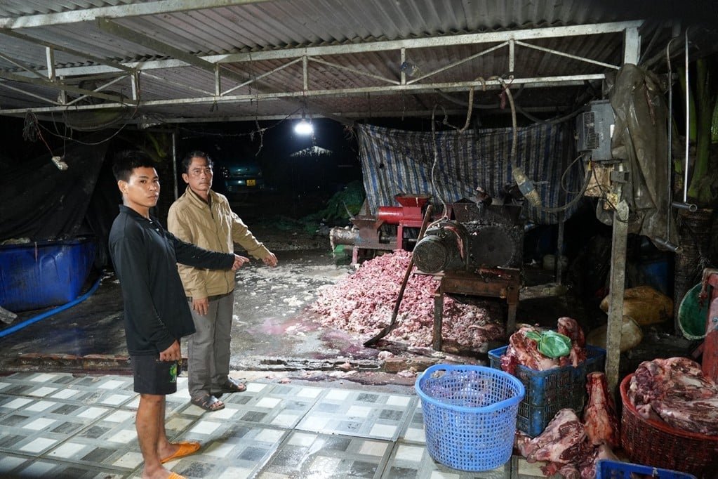 Đồng Nai triệt xoá đường dây 400 tấn heo bịnh bán làm thực phẩm