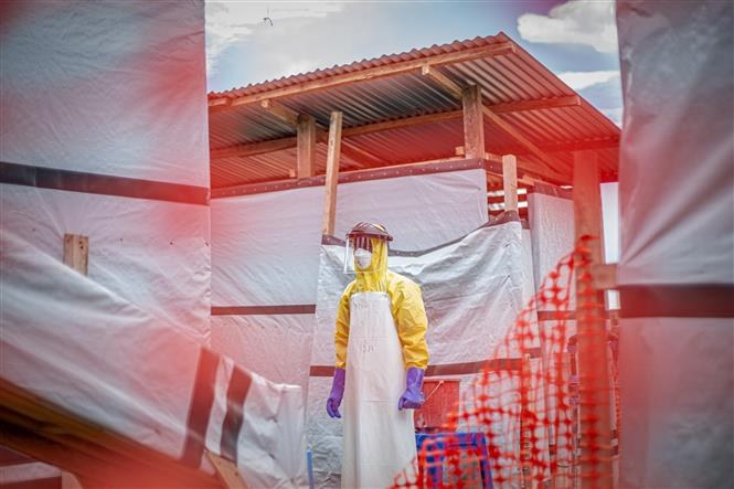 Ngăn dịch Ebola xâm nhập qua đường hàng không